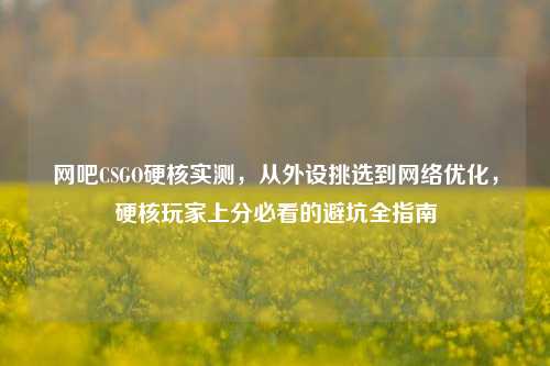 网吧CSGO硬核实测,从外设挑选到网络优化,硬核玩家上分必看的避坑全指南