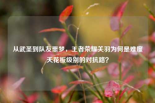 从武圣到队友噩梦,王者荣耀关羽为何是难度天花板级别的对抗路?