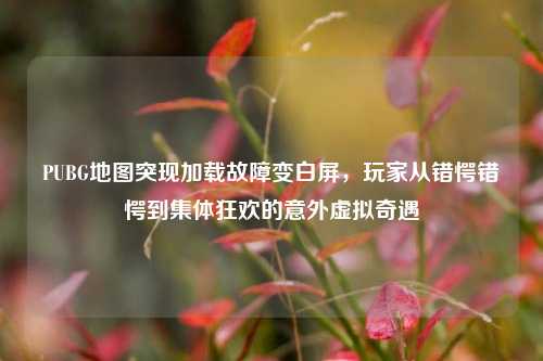 PUBG地图突现加载故障变白屏，玩家从错愕错愕到集体狂欢的意外虚拟奇遇