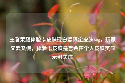 王者荣耀体验卡皮肤现白嫖限定皮肤bug，玩家又爱又慌，体验卡皮肤是否会在个人皮肤页显示引关注