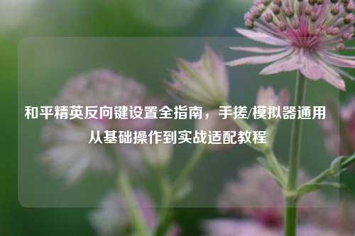 和平精英反向键设置全指南，手搓/模拟器通用 从基础操作到实战适配教程