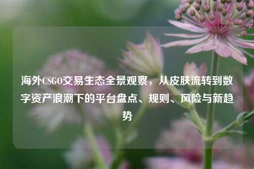 海外CSGO交易生态全景观察,从皮肤流转到数字资产浪潮下的平台盘点、规则、风险与新趋势