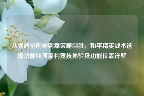 从凭感觉刚枪到靠策略制胜,和平精英战术选择功能如何重构竞技体验及功能位置详解
