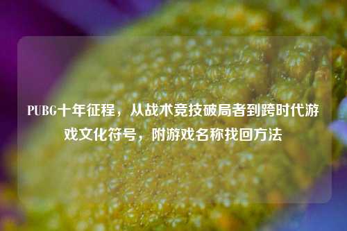 PUBG十年征程,从战术竞技破局者到跨时代游戏文化符号,附游戏名称找回方法