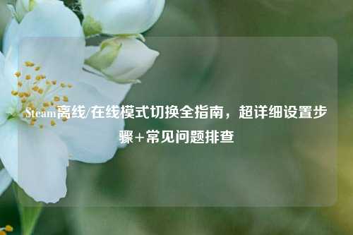 Steam离线/在线模式切换全指南,超详细设置步骤+常见问题排查