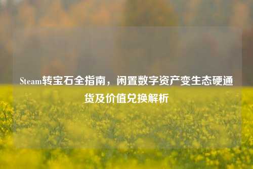 Steam转宝石全指南,闲置数字资产变生态硬通货及价值兑换解析