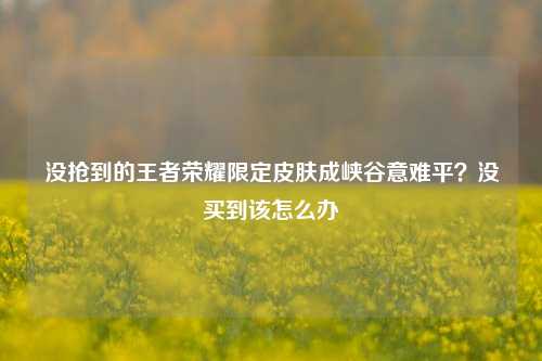 没抢到的王者荣耀限定皮肤成峡谷意难平？没买到该怎么办