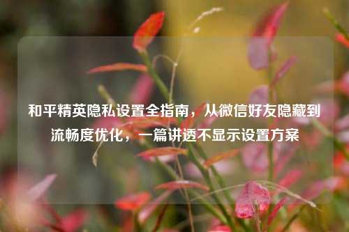 和平精英隐私设置全指南,从微信好友隐藏到流畅度优化,一篇讲透不显示设置方案