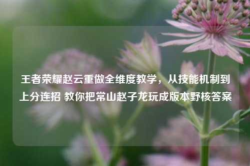 王者荣耀赵云重做全维度教学,从技能机制到上分连招 教你把常山赵子龙玩成版本野核答案