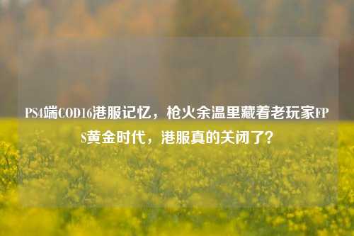 PS4端COD16港服记忆,枪火余温里藏着老玩家FPS黄金时代,港服真的关闭了?