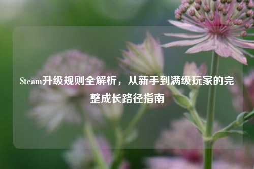 Steam升级规则全解析，从新手到满级玩家的完整成长路径指南