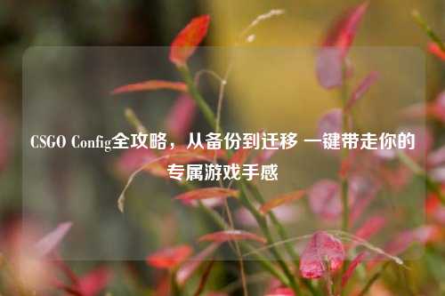 CSGO Config全攻略，从备份到迁移 一键带走你的专属游戏手感