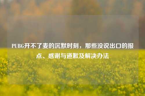 PUBG开不了麦的沉默时刻,那些没说出口的报点、感谢与道歉及解决办法