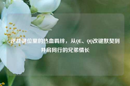 逆战键位里的热血羁绊，从QE、QQ改键默契到并肩同行的兄弟情长