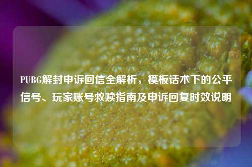PUBG解封申诉回信全解析,模板话术下的公平信号、玩家账号救赎指南及申诉回复时效说明