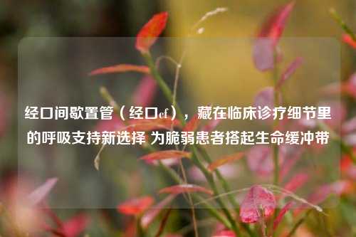 经口间歇置管(经口cf),藏在临床诊疗细节里的呼吸支持新选择 为脆弱患者搭起生命缓冲带