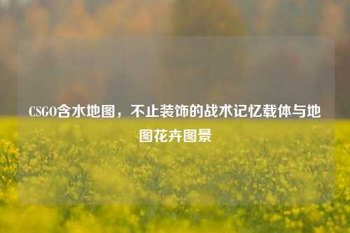 CSGO含水地图,不止装饰的战术记忆载体与地图花卉图景