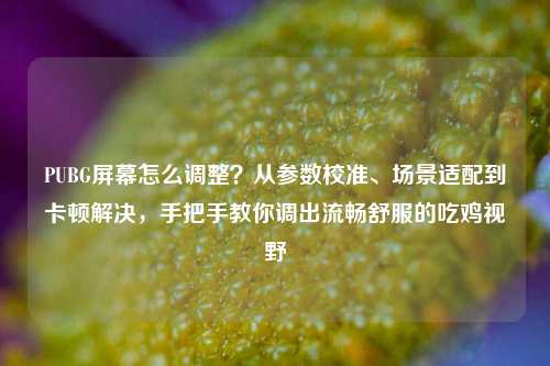 PUBG屏幕怎么调整?从参数校准、场景适配到卡顿解决,手把手教你调出流畅舒服的吃鸡视野