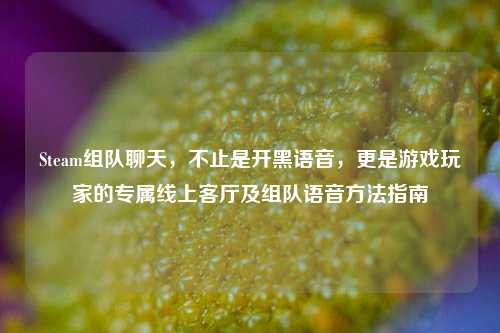 Steam组队聊天,不止是开黑语音,更是游戏玩家的专属线上客厅及组队语音方法指南