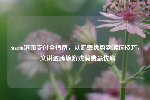 Steam港币支付全指南,从汇率优势到避坑技巧,一文讲透跨境游戏消费最优解