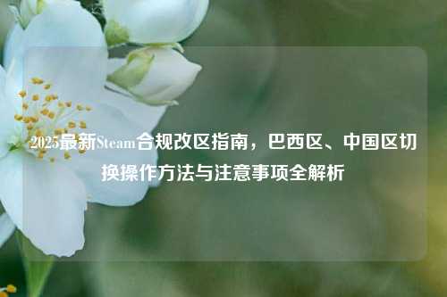 2025最新Steam合规改区指南,巴西区、中国区切换操作方法与注意事项全解析