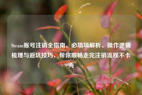 Steam账号注销全指南,必填项解析、操作逻辑梳理与避坑技巧,帮你顺畅走完注销流程不卡壳