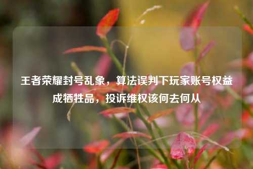 王者荣耀封号乱象,算法误判下玩家账号权益成牺牲品,投诉维权该何去何从