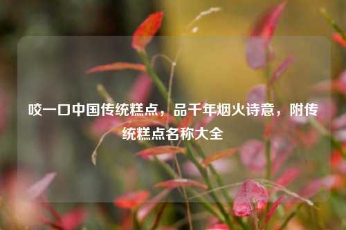 咬一口中国传统糕点，品千年烟火诗意，附传统糕点名称大全
