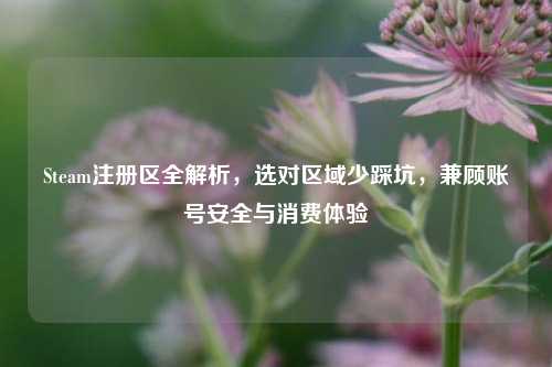 Steam注册区全解析,选对区域少踩坑,兼顾账号安全与消费体验