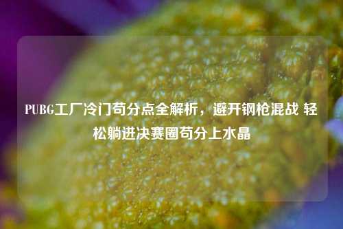 PUBG工厂冷门苟分点全解析,避开钢枪混战 轻松躺进决赛圈苟分上水晶