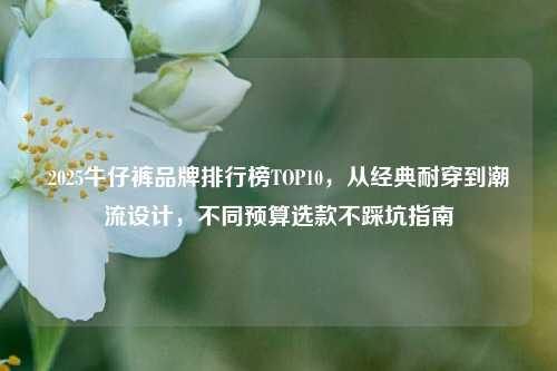 2025牛仔裤品牌排行榜TOP10，从经典耐穿到潮流设计，不同预算选款不踩坑指南