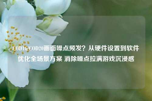 COD16/COD20画面噪点频发?从硬件设置到软件优化全场景方案 消除噪点拉满游戏沉浸感