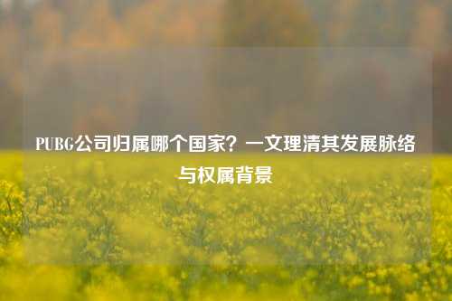 PUBG公司归属哪个国家？一文理清其发展脉络与权属背景