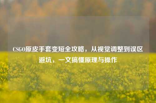 CSGO原皮手套变短全攻略，从视觉调整到误区避坑，一文搞懂原理与操作