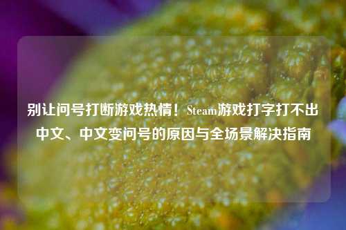 别让问号打断游戏热情!Steam游戏打字打不出中文、中文变问号的原因与全场景解决指南