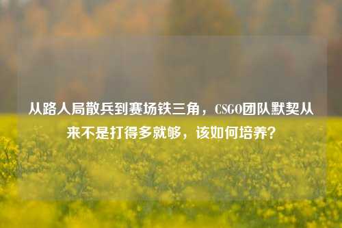 从路人局散兵到赛场铁三角,CSGO团队默契从来不是打得多就够,该如何培养?
