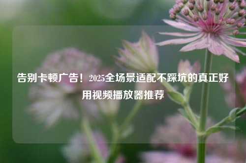 告别卡顿广告!2025全场景适配不踩坑的真正好用视频播放器推荐