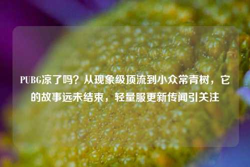 PUBG凉了吗?从现象级顶流到小众常青树,它的故事远未结束,轻量服更新传闻引关注
