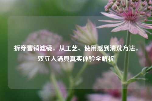 拆穿营销滤镜,从工艺、使用感到清洗方法,双立人锅具真实体验全解析