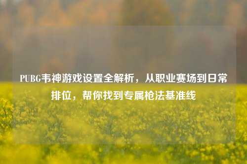 PUBG韦神游戏设置全解析,从职业赛场到日常排位,帮你找到专属枪法基准线