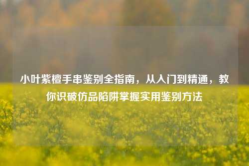 小叶紫檀手串鉴别全指南，从入门到精通，教你识破仿品陷阱掌握实用鉴别方法
