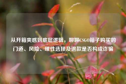 从开箱爽感到底层逻辑，聊聊CSGO箱子购买的门道、风险、理性选择及退款是否构成诈骗