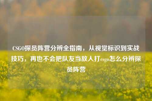CSGO探员阵营分辨全指南,从视觉标识到实战技巧,再也不会把队友当敌人打csgo怎么分辨探员阵营