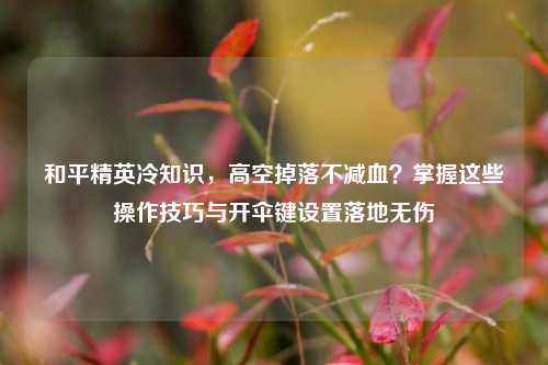 和平精英冷知识，高空掉落不减血？掌握这些操作技巧与开伞键设置落地无伤