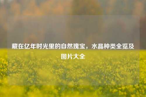 藏在亿年时光里的自然瑰宝，水晶种类全览及图片大全