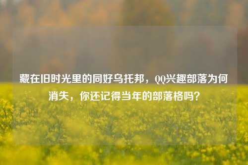 藏在旧时光里的同好乌托邦,QQ兴趣部落为何消失,你还记得当年的部落格吗?