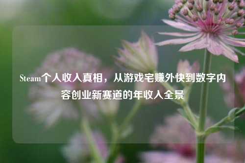 Steam个人收入真相,从游戏宅赚外快到数字内容创业新赛道的年收入全景