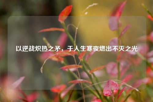 以逆战炽热之矛，于人生寒夜燃出不灭之光