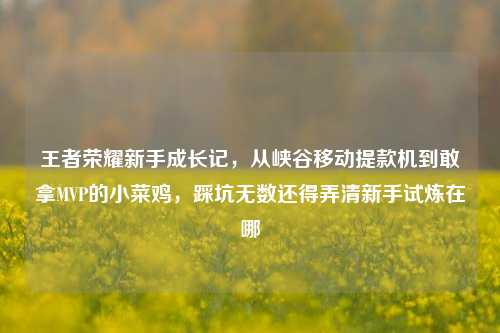 王者荣耀新手成长记,从峡谷移动提款机到敢拿MVP的小菜鸡,踩坑无数还得弄清新手试炼在哪