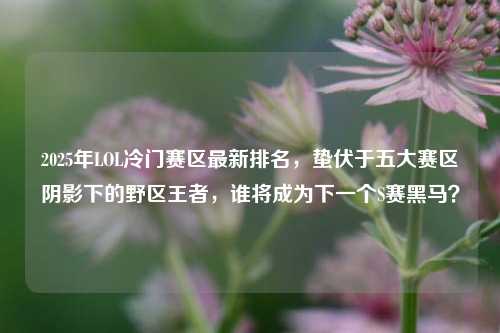 2025年LOL冷门赛区最新排名,蛰伏于五大赛区阴影下的野区王者,谁将成为下一个S赛黑马?